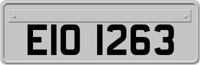 EIO1263