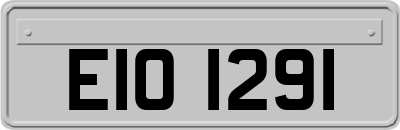 EIO1291