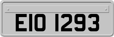 EIO1293