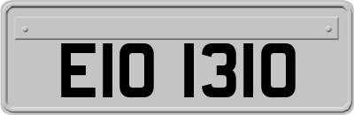 EIO1310
