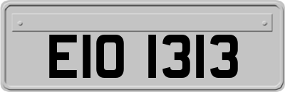 EIO1313