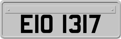 EIO1317
