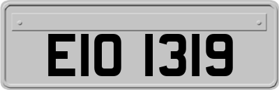 EIO1319
