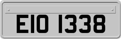 EIO1338