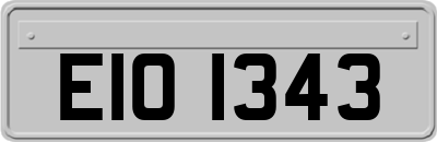 EIO1343