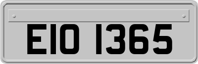 EIO1365