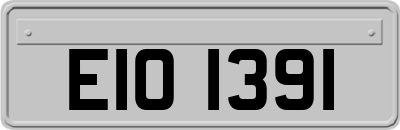 EIO1391