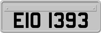 EIO1393