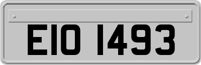 EIO1493