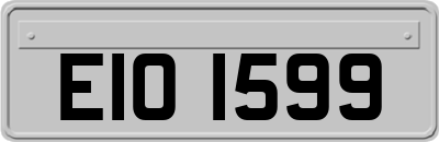 EIO1599