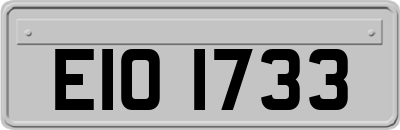 EIO1733