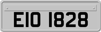 EIO1828