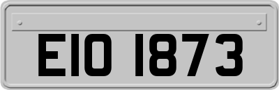 EIO1873