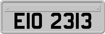 EIO2313