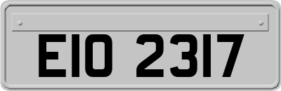 EIO2317