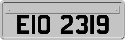 EIO2319