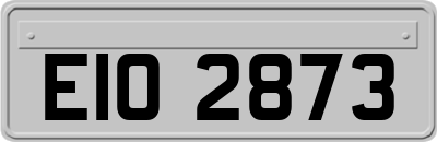 EIO2873