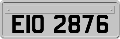 EIO2876