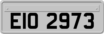 EIO2973