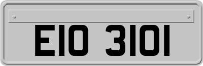 EIO3101