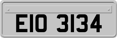 EIO3134