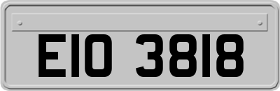 EIO3818