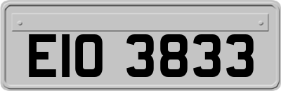 EIO3833