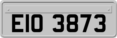 EIO3873