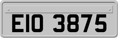 EIO3875