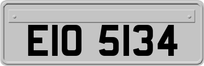 EIO5134
