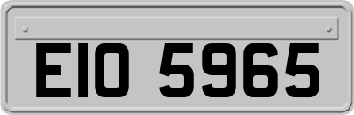 EIO5965