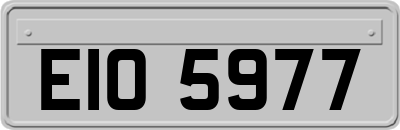 EIO5977
