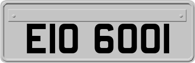 EIO6001