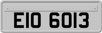 EIO6013