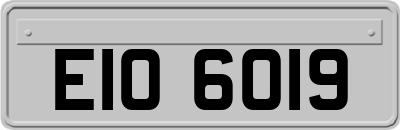 EIO6019