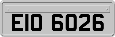 EIO6026