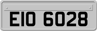 EIO6028