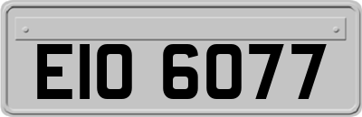 EIO6077