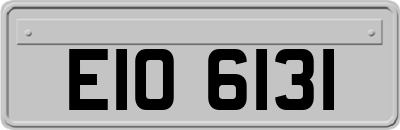 EIO6131