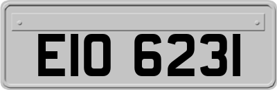 EIO6231