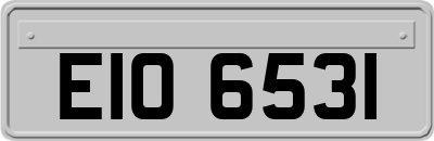 EIO6531