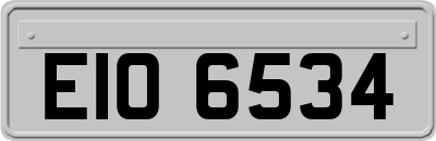 EIO6534