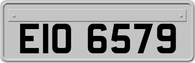 EIO6579