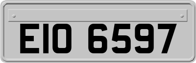 EIO6597