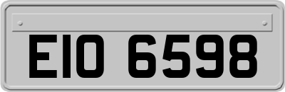 EIO6598