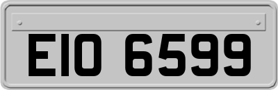 EIO6599