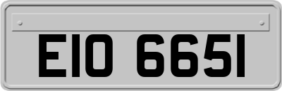 EIO6651