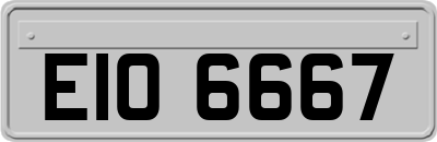 EIO6667