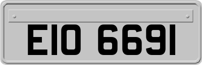 EIO6691