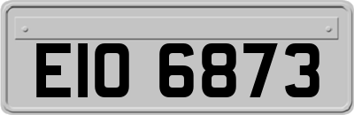 EIO6873